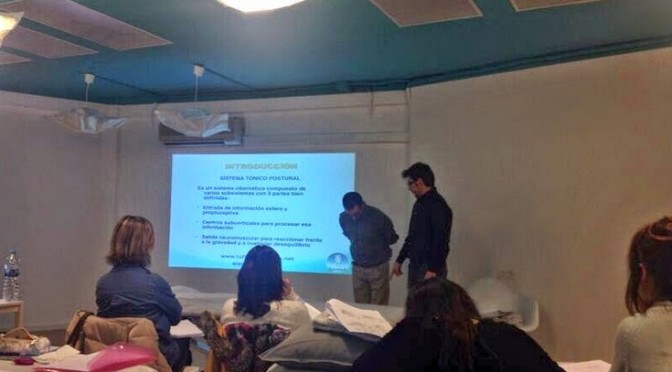 fisioterapeuta castellon
