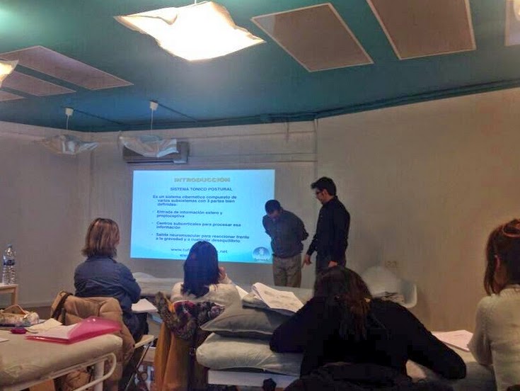 fisioterapeuta castellon
