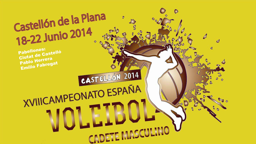 fisioterapeuta castellon