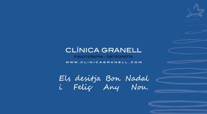 fisioterapeuta castellon