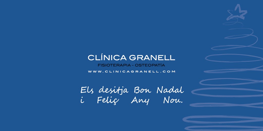 fisioterapeuta castellon