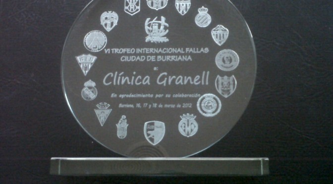 fisioterapeuta castellon