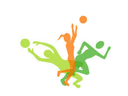 fisioterapeuta castellon