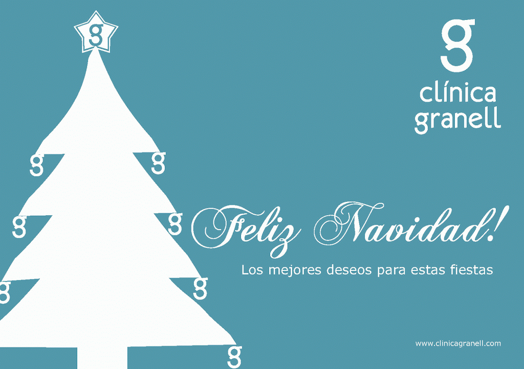 fisioterapeuta castellon